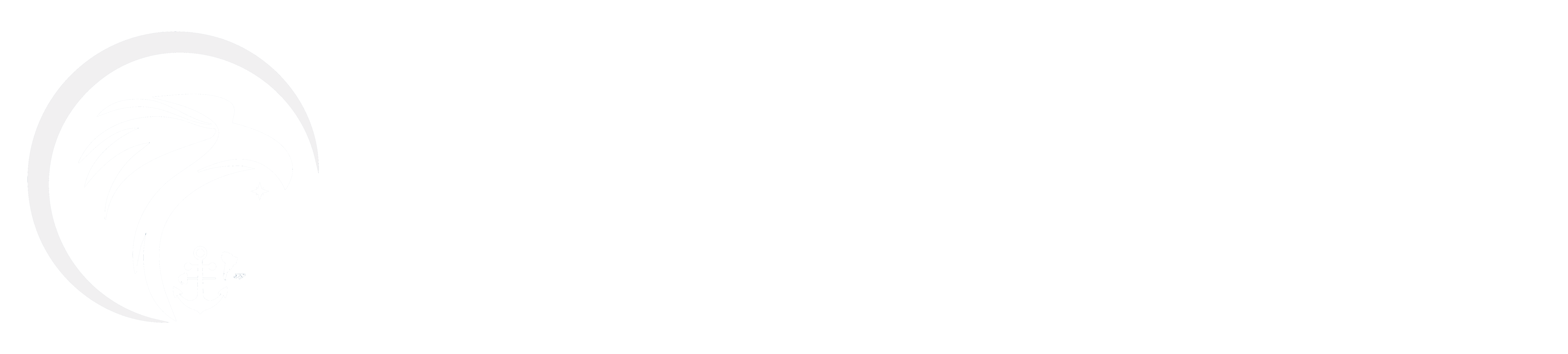 La Defensa Argentina